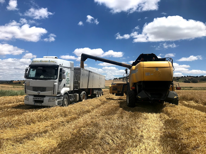 harvester loading agricultural truck